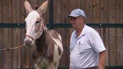 Dude! Where's My Donkey? Dude! Where's My Donkey?