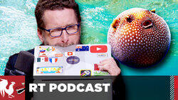 The Puffer Fish Problem – #367 The Puffer Fish Problem – #367