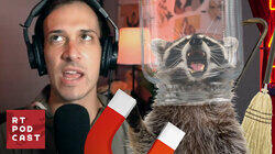 Raccoon Cup Save - #608 Raccoon Cup Save - #608