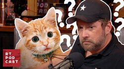 How do you teach a Cat to Jump? - #542 How do you teach a Cat to Jump? - #542
