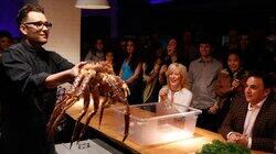 Live King Crab Live King Crab
