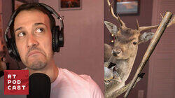 Stalked by a Deer - #604 Stalked by a Deer - #604