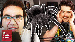 We Don't Need More Spiders - #645 We Don't Need More Spiders - #645