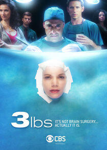 3 lbs. 3 lbs.