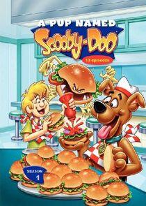 A Pup Named Scooby-Doo - Season 1