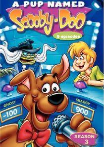 A Pup Named Scooby-Doo - Season 3