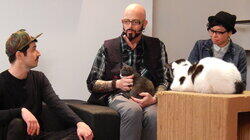 Felines and Frenemies? Felines and Frenemies?