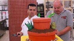 Botanical Cakes and Anti-Lock Brakes Botanical Cakes and Anti-Lock Brakes