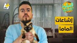 إشاعات الماما إشاعات الماما