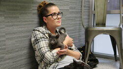 Kitten Impossible: Roadtrip Rescue Kitten Impossible: Roadtrip Rescue