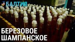 Вино из одуванчиков и шампанское из березового сока