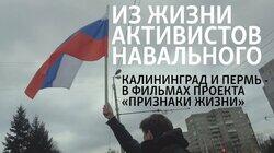Из жизни активистов Навального Из жизни активистов Навального