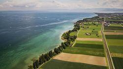 Bodensee: Rettung für die Vogelwelt Bodensee: Rettung für die Vogelwelt