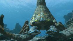 Water Dwellers Water Dwellers