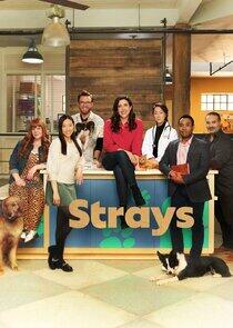 Strays Strays