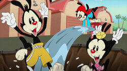 Planet Warner/Talladega Mice: The Ballad of Pinky Brainy/D.I.WHY? Planet Warner/Talladega Mice: The Ballad of Pinky Brainy/D.I.WHY?