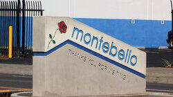 The King of Montebowl-o The King of Montebowl-o