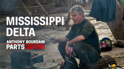 Mississippi Delta Mississippi Delta