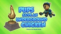 Pups Save an Underground Chicken Pups Save an Underground Chicken