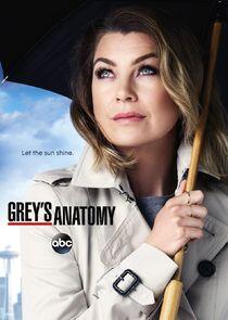 Grey's Anatomy - Season 12
