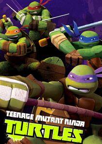 Teenage Mutant Ninja Turtles Teenage Mutant Ninja Turtles
