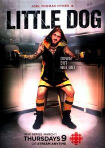 Little Dog Little Dog