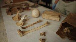 A Box of Bones A Box of Bones