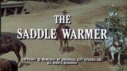 The Saddle Warmer