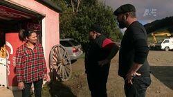 Kiwi Pickers Kiwi Pickers