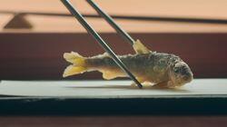 Pescado Pescado