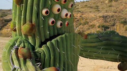 Night of the Cactus! Night of the Cactus!