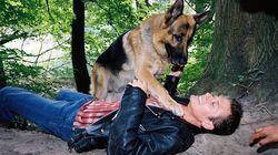 The Attempted Assassination of Rex The Attempted Assassination of Rex