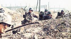 Siege of Stalingrad Siege of Stalingrad