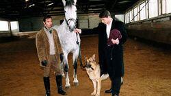The Million-Dollar Horse The Million-Dollar Horse