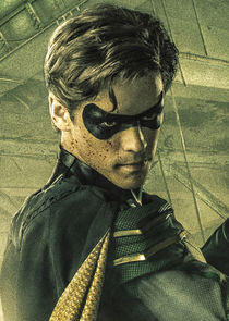 Dick Grayson / Robin / Nightwing Dick Grayson / Robin / Nightwing