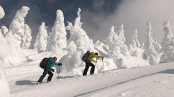 Hakkoda's Backcountry Magic Hakkoda's Backcountry Magic