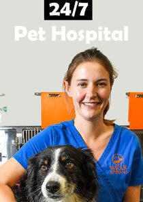 24/7 Pet Hospital 24/7 Pet Hospital