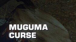 Muguma Curse Muguma Curse