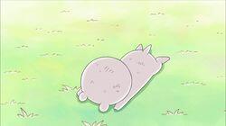 Fishing Cat Has Fun Fishing Cat Has Fun