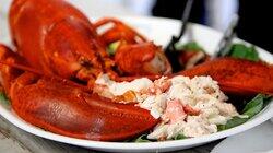 Harbor Hideaway & Lobster Garage Harbor Hideaway & Lobster Garage