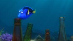 Dory Finding Dory Finding