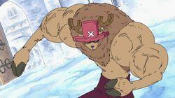 Devil's Fruit of the Zoan Family! Chopper's Seven-Level Transformation Devil's Fruit of the Zoan Family! Chopper's Seven-Level Transformation
