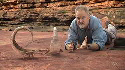 The First Steps The First Steps