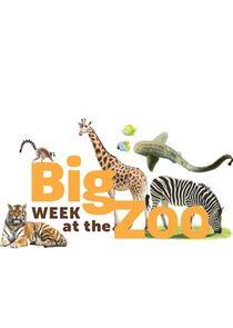 Big Week at the Zoo Big Week at the Zoo