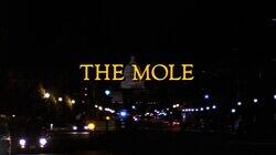 The Mole The Mole