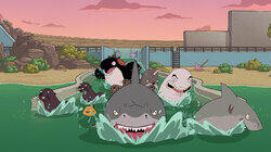 SeaWorld Is Hell SeaWorld Is Hell