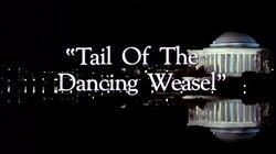 'Tail of the Dancing Weasel' 'Tail of the Dancing Weasel'