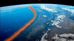 Here's Exactly What to Do When the Next Megaquake Hits Here's Exactly What to Do When the Next Megaquake Hits