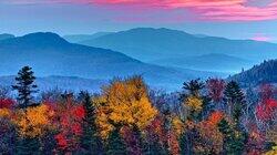 Unlocking the Mysteries of Autumn Leaves Unlocking the Mysteries of Autumn Leaves