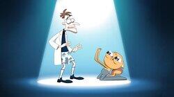 Squirrels in My Pants